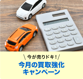 今が売りドキ！今月の買取強化キャンペーン