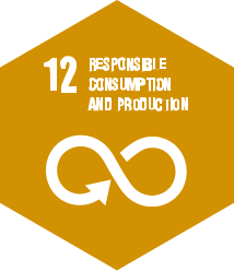 RESPONSIBLE CONSUMPTION AND PRODUCTION