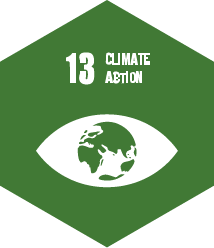 CLIMATE ACTION